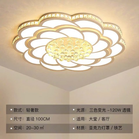 Đèn mâm led hình cánh hoa lượn sóng D800, 3M, có điều khiển