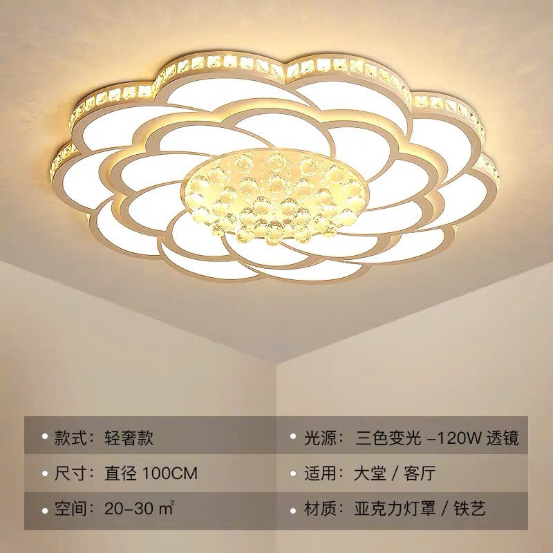 Đèn mâm led hình cánh hoa lượn sóng D800, 3M, có điều khiển